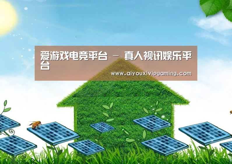 爱游戏娱乐公司