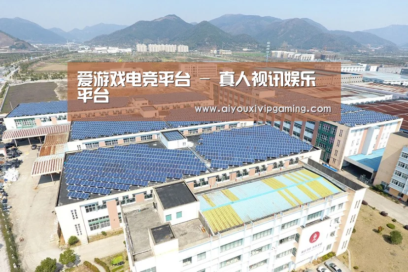 案例展示二
