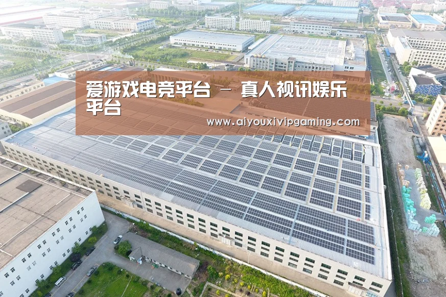 案例展示三