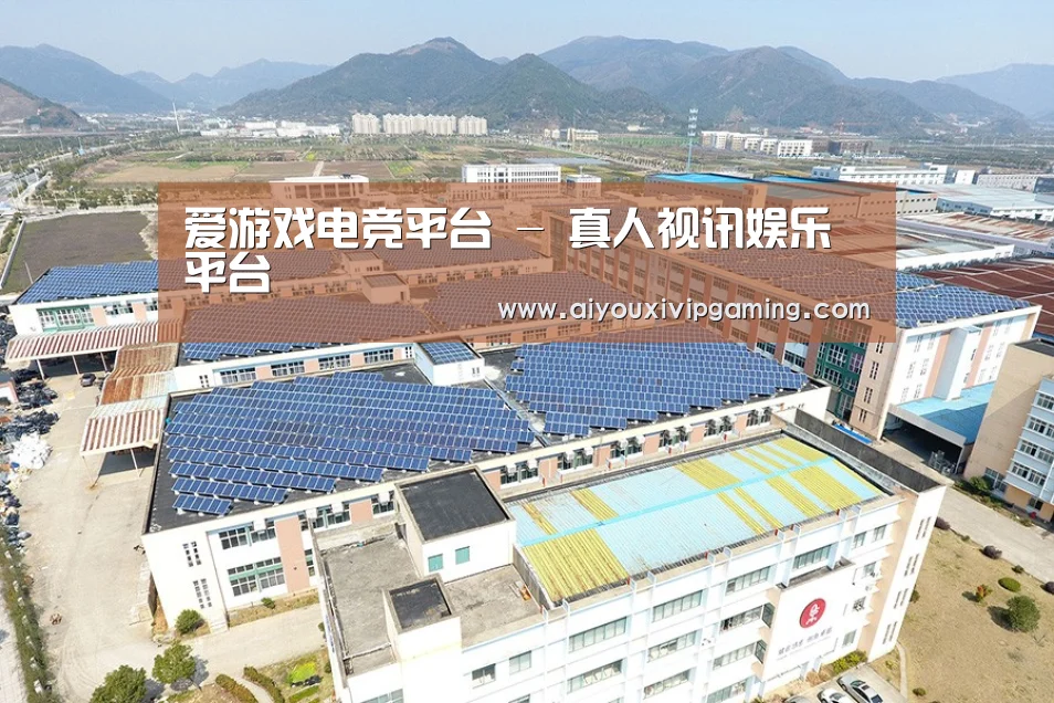 案例展示三