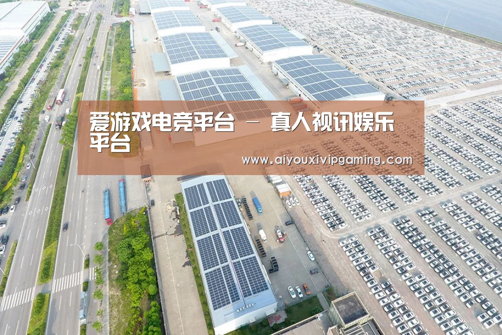 案例展示三