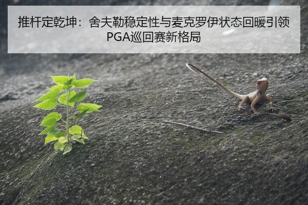 tui-gan-ding-qian-kun-she-fu-lei-wen-ding-xing-yu-mai-ke-luo-yi-zhuang-tai-hui-nuan-yin-ling-xun-hui-sai-xin-ge-ju-2-644.jpg