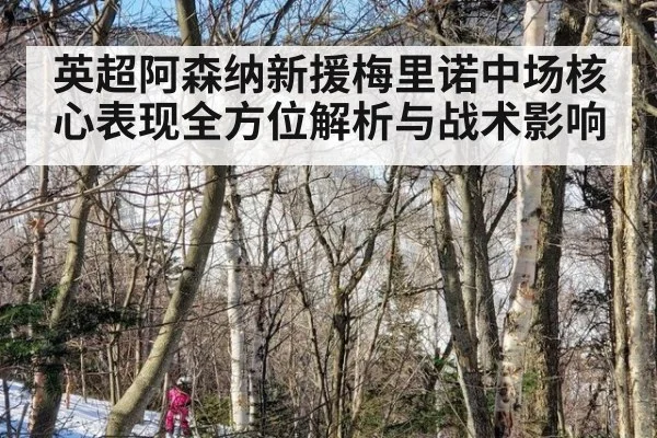 英超阿森纳新援梅里诺中场核心表现全方位解析与战术影响